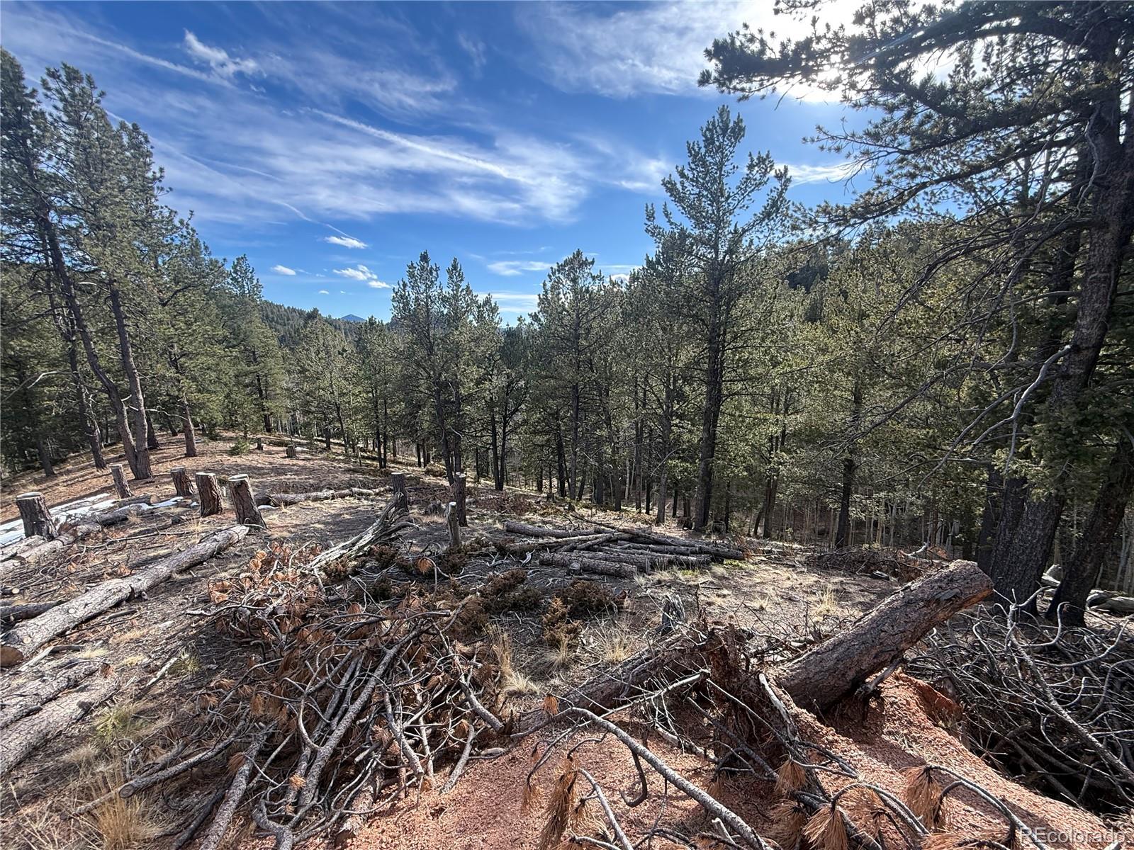 162 Eagle Drive Divide CO 80813