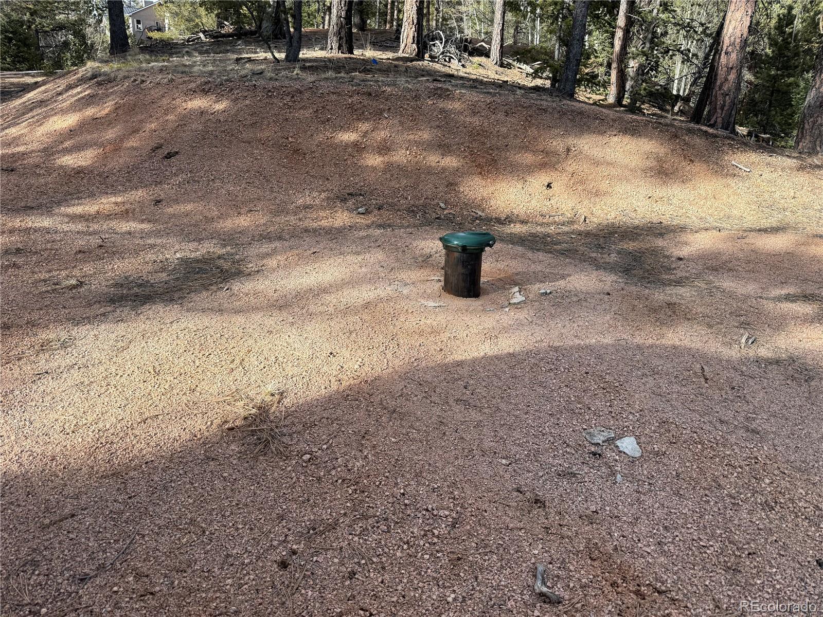 162 Eagle Drive Divide CO 80813