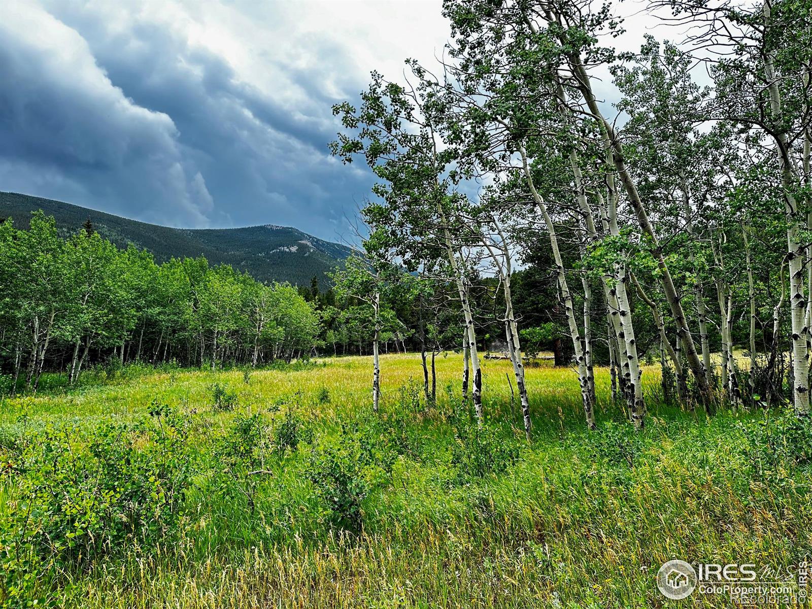 928 Ski Road Allenspark CO 80510