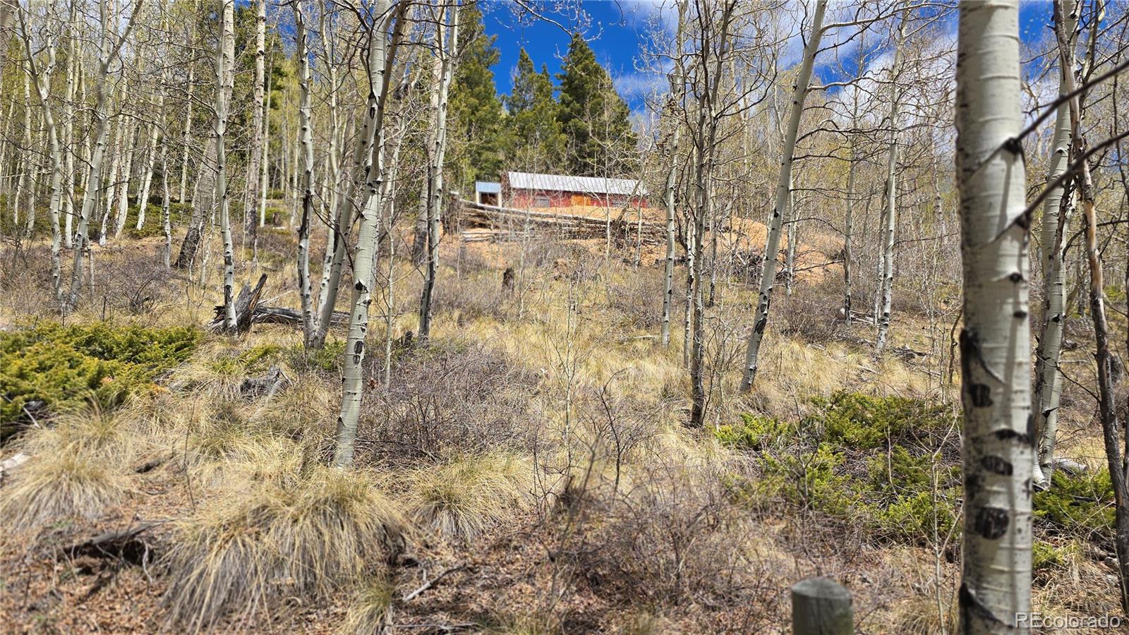 Lot 5897 Slegers Road Fort Garland CO 81133