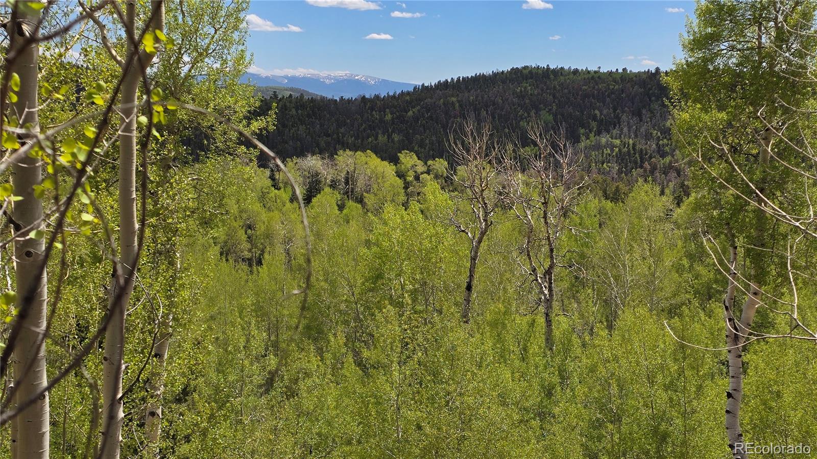Lot 5897 Slegers Road Fort Garland CO 81133