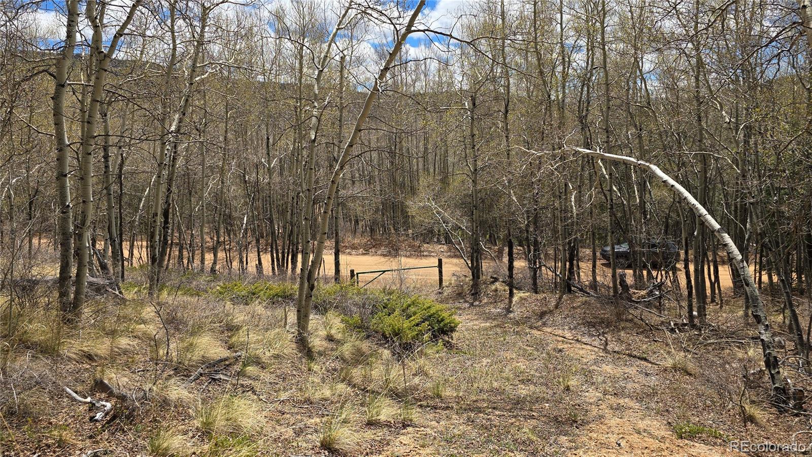 Lot 5897 Slegers Road Fort Garland CO 81133