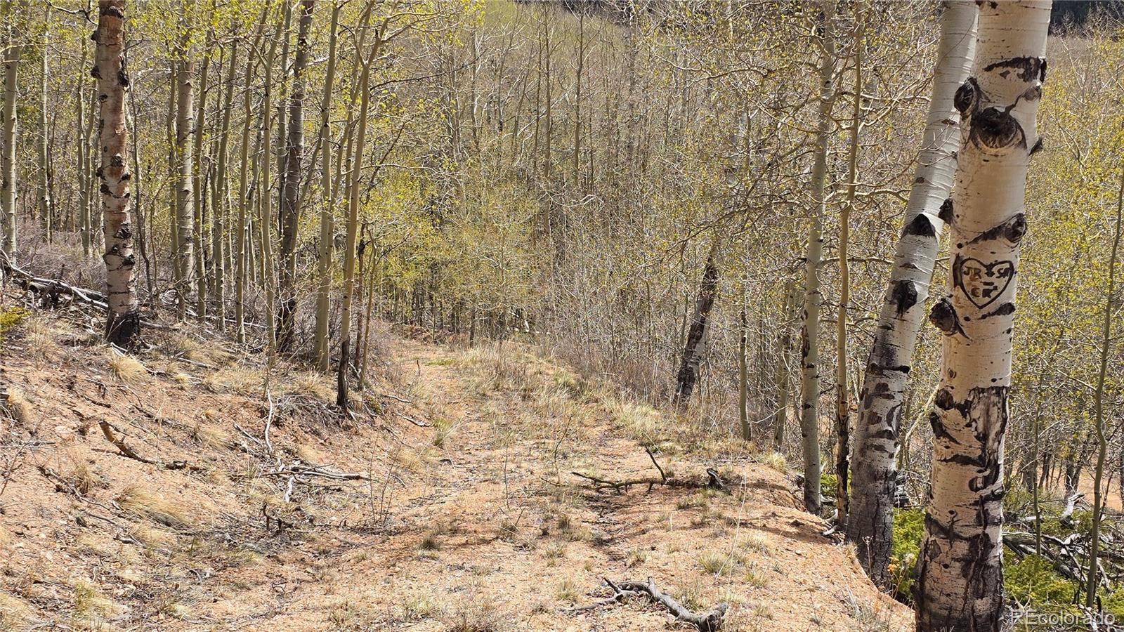 Lot 5897 Slegers Road Fort Garland CO 81133