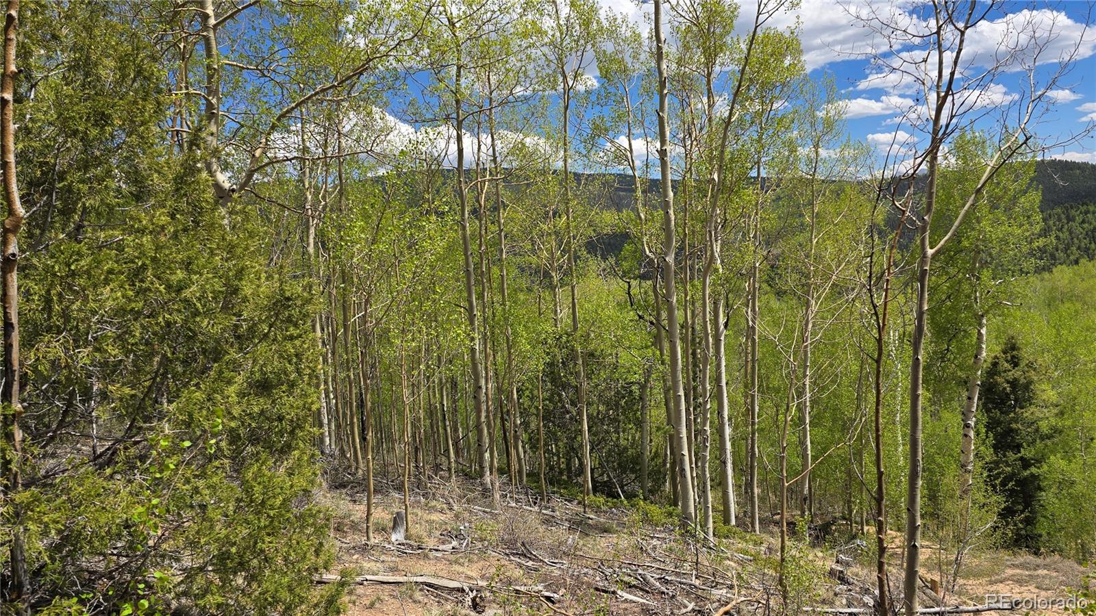 Lot 5897 Slegers Road Fort Garland CO 81133