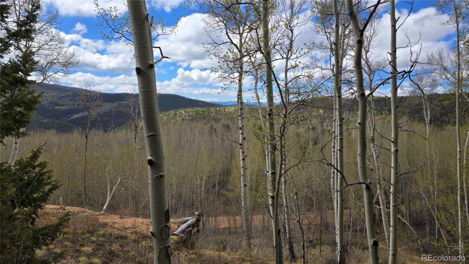Lot 5897 Slegers Road Fort Garland CO 81133