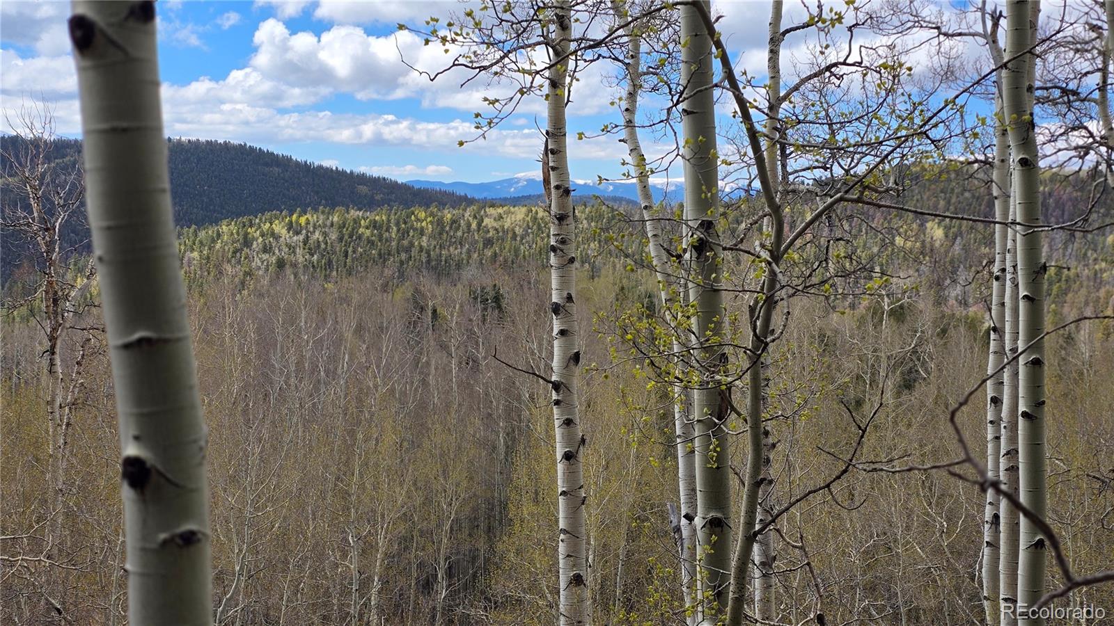 Lot 5897 Slegers Road Fort Garland CO 81133