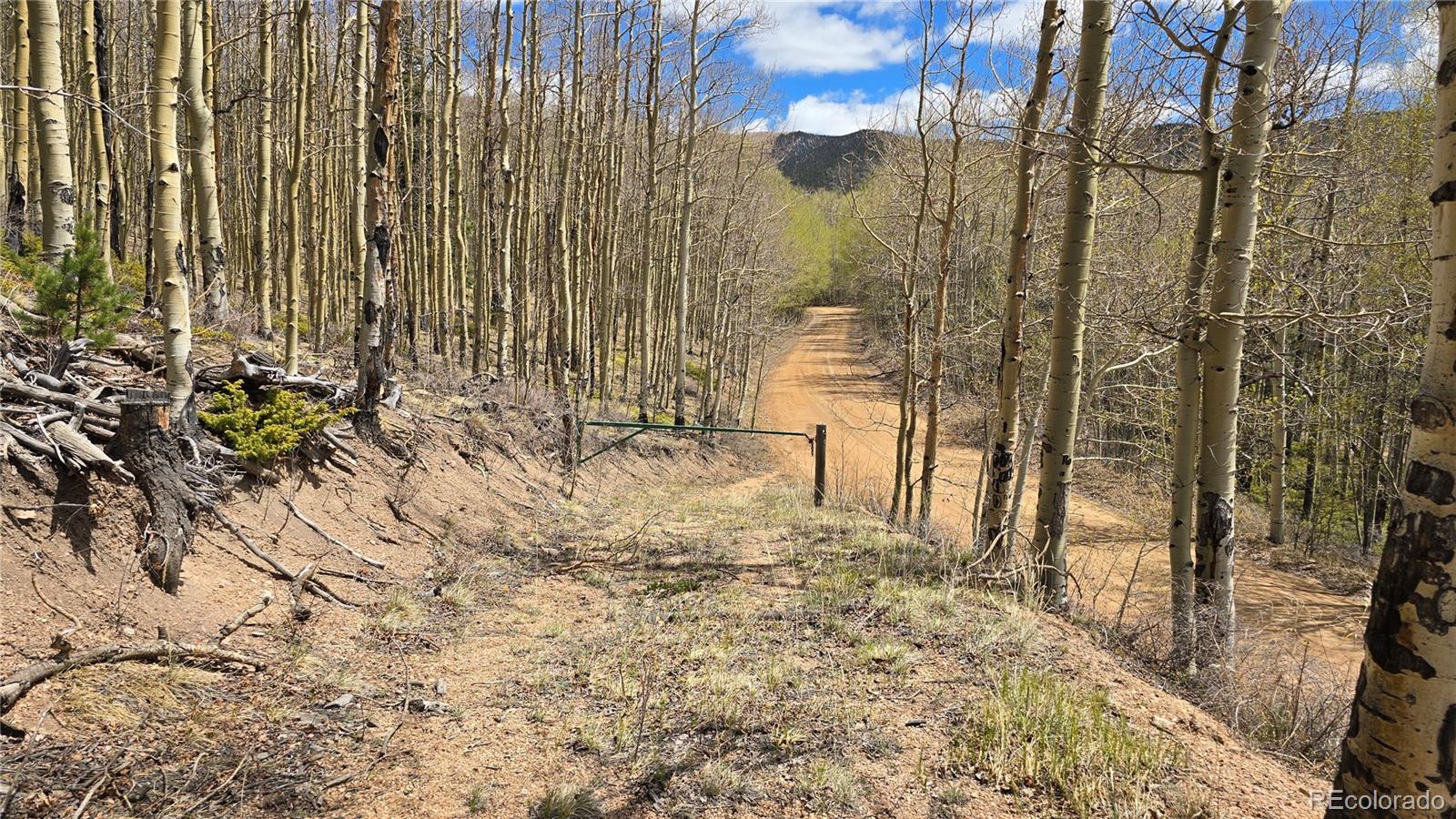 Lot 5897 Slegers Road Fort Garland CO 81133