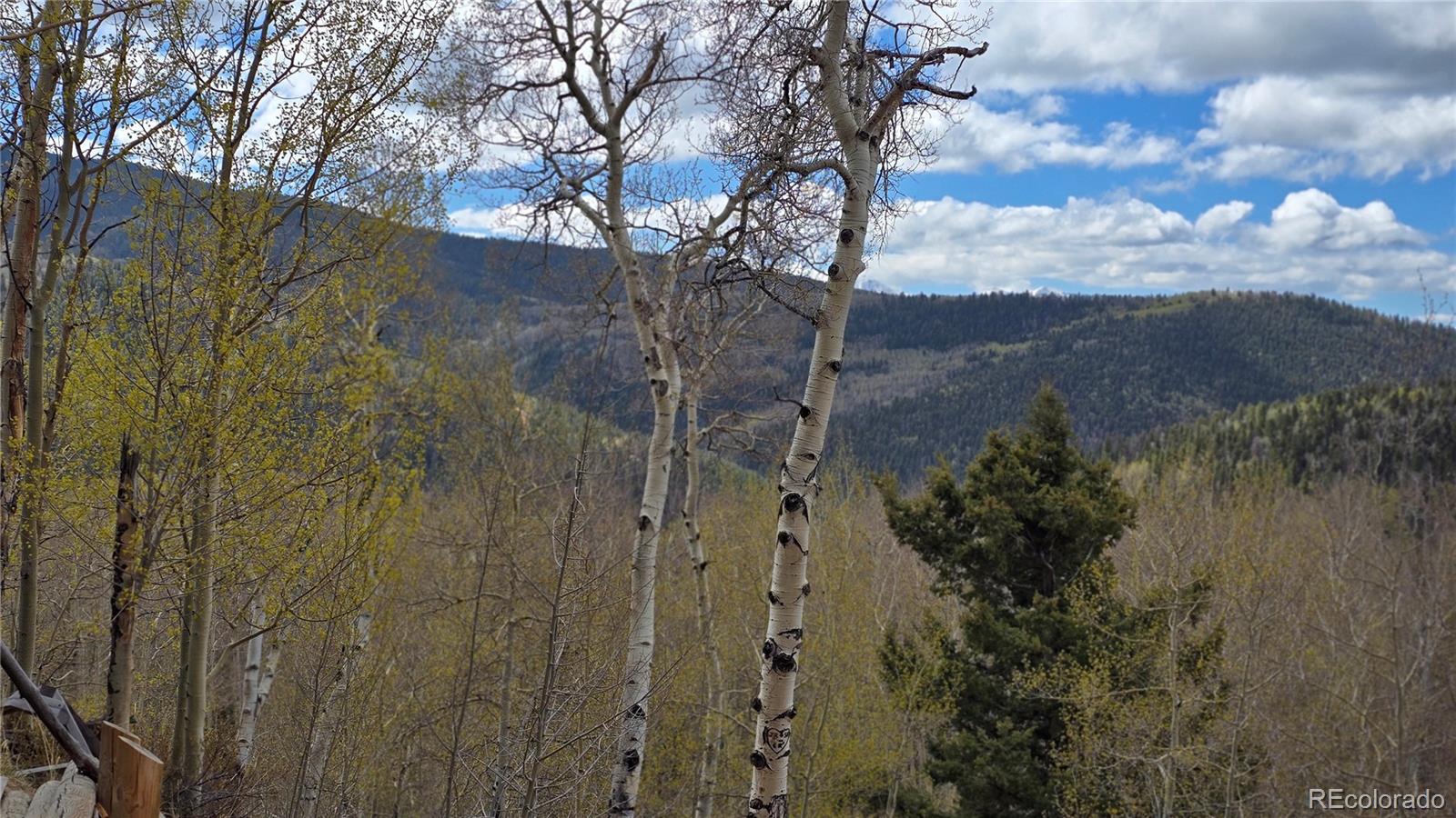 Lot 5897 Slegers Road Fort Garland CO 81133