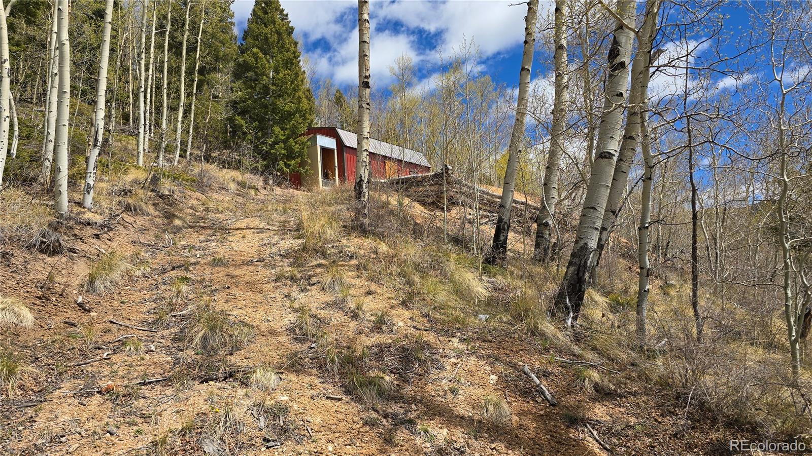 Lot 5897 Slegers Road Fort Garland CO 81133
