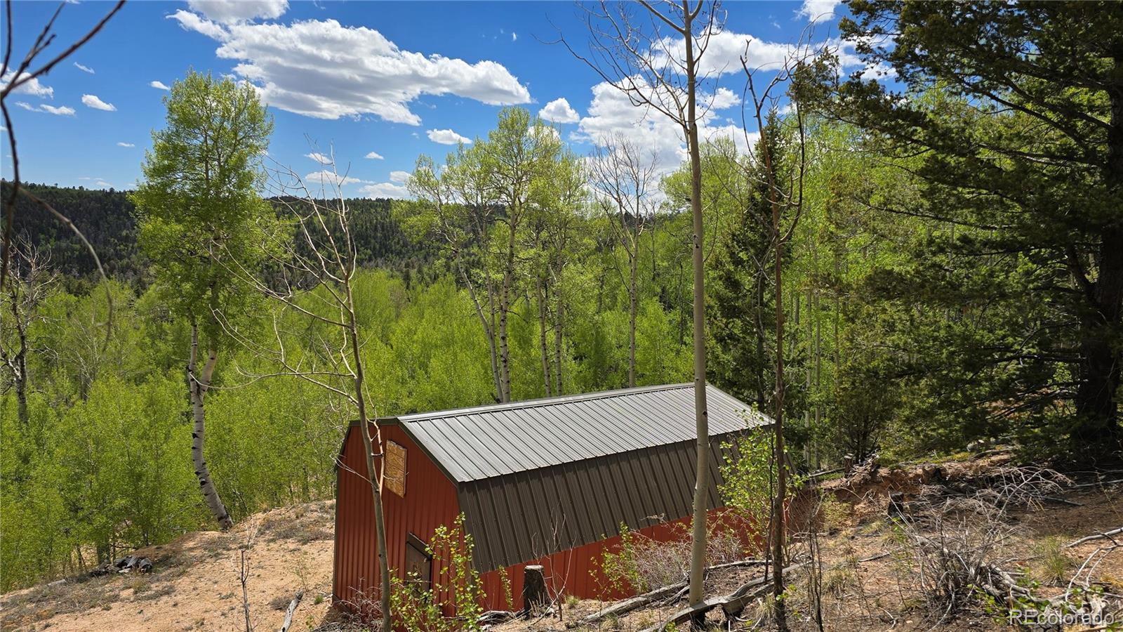 Lot 5897 Slegers Road Fort Garland CO 81133