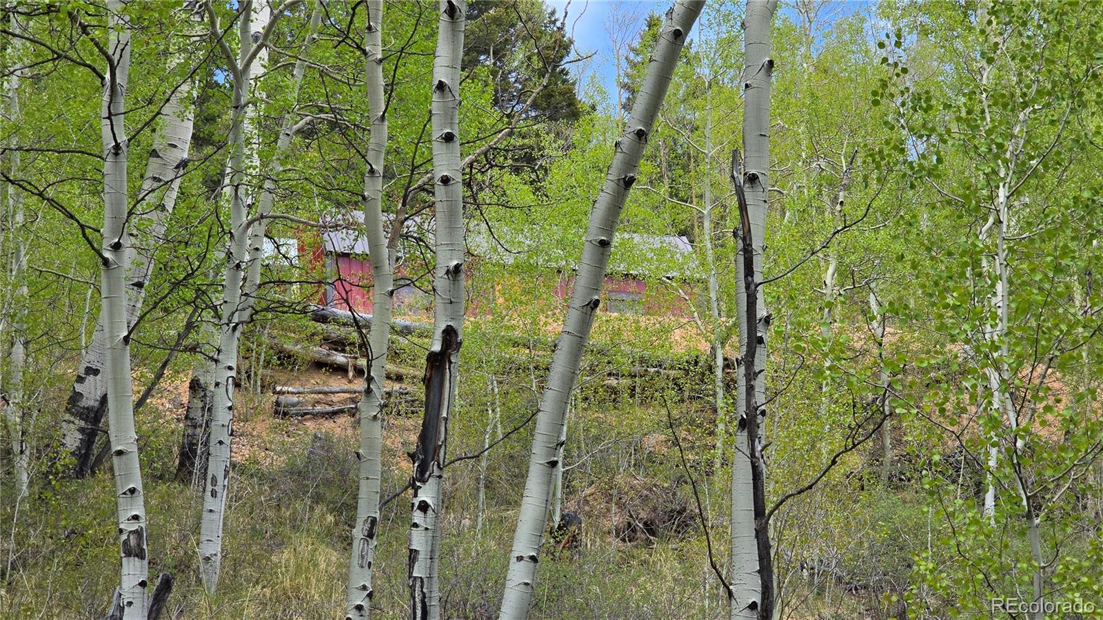 Lot 5897 Slegers Road Fort Garland CO 81133