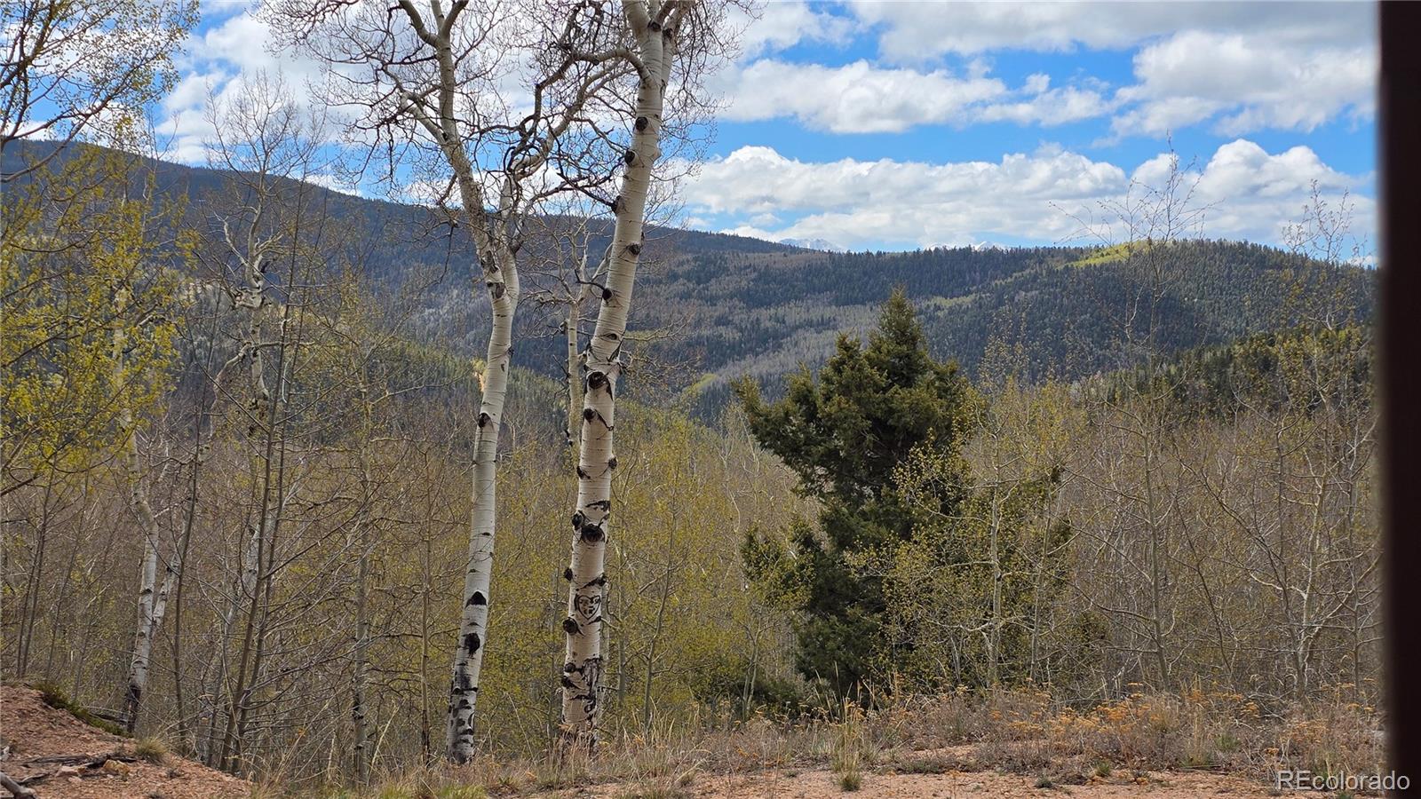 Lot 5897 Slegers Road Fort Garland CO 81133