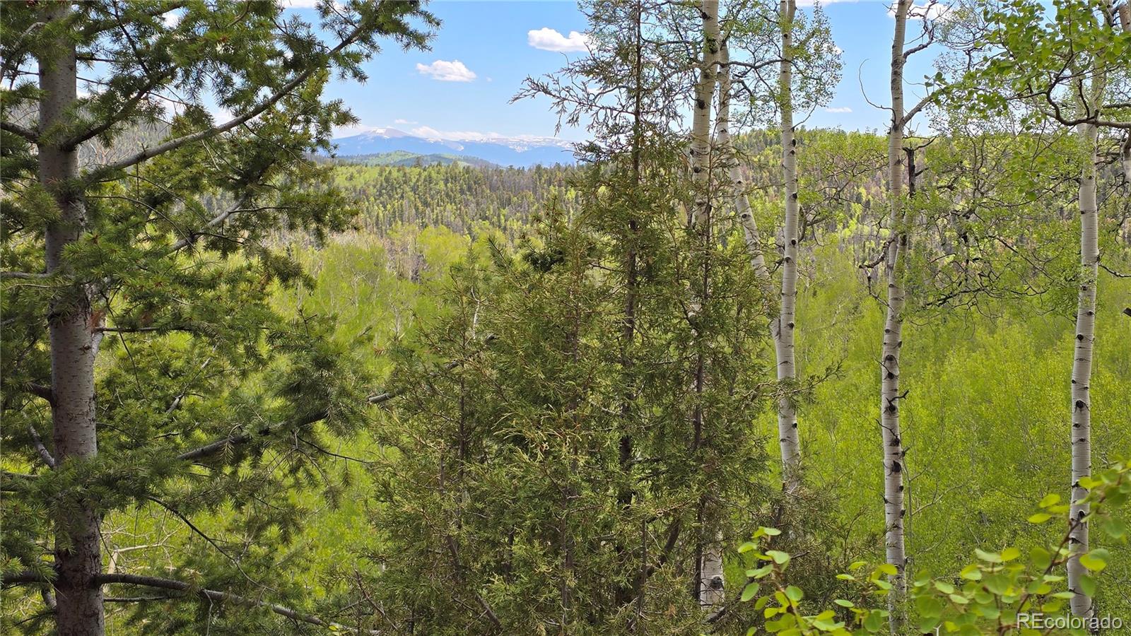 Lot 5897 Slegers Road Fort Garland CO 81133