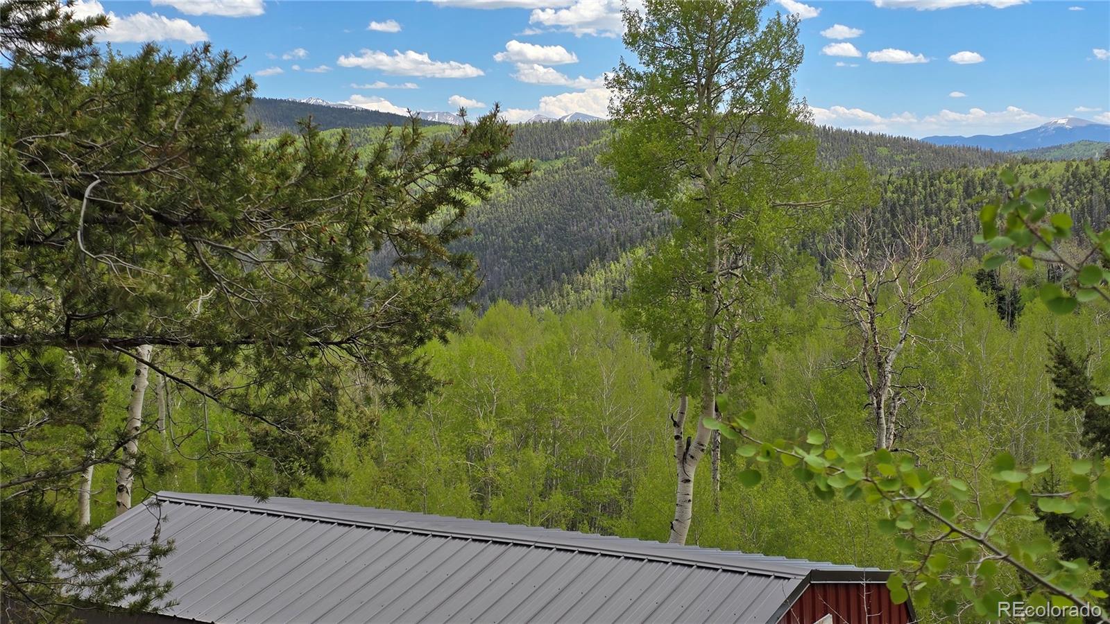 Lot 5897 Slegers Road Fort Garland CO 81133