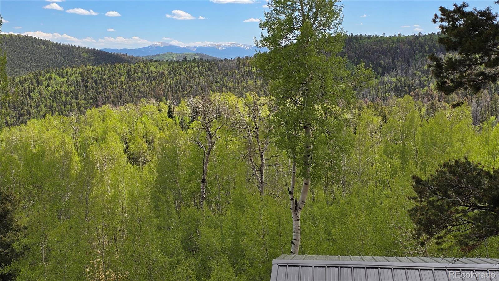 Lot 5897 Slegers Road Fort Garland CO 81133