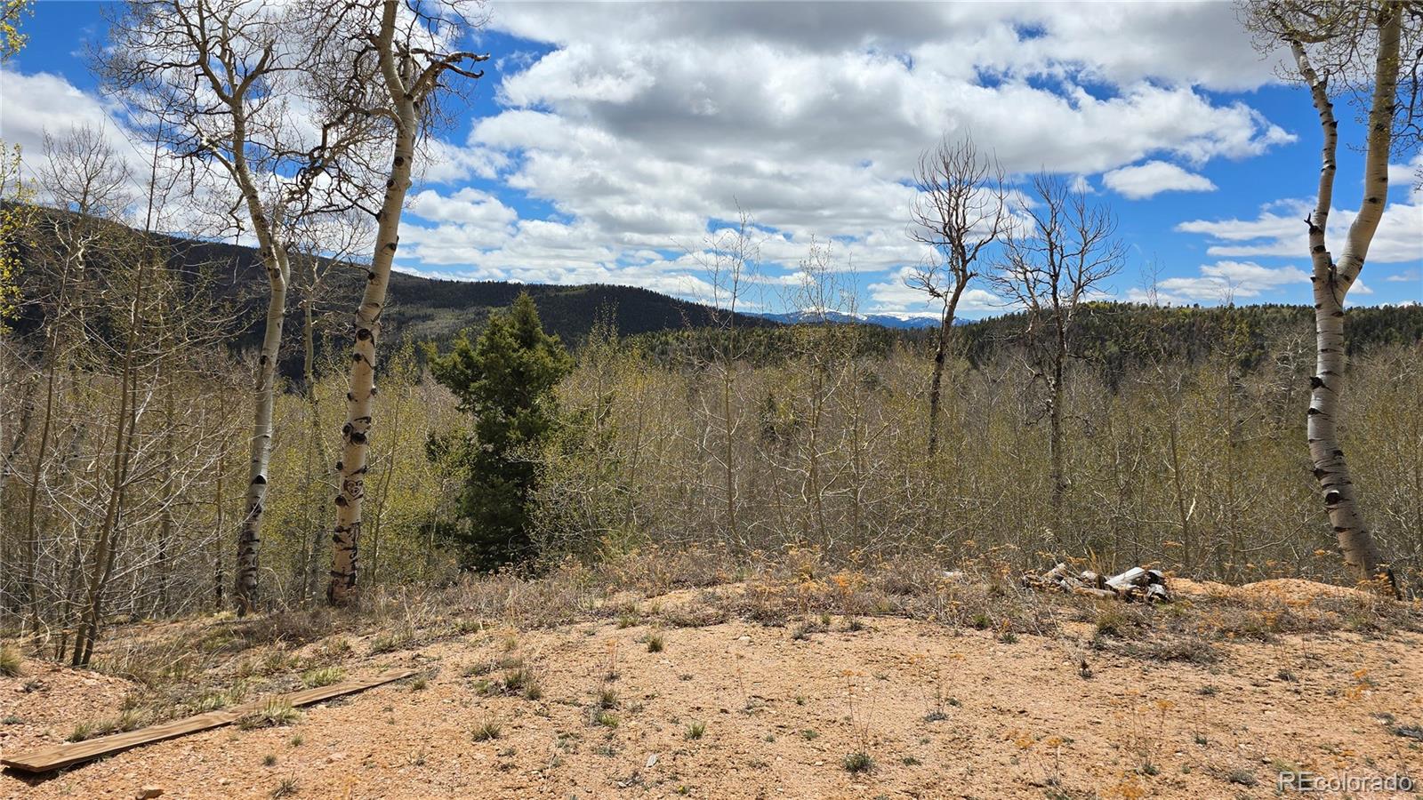 Lot 5897 Slegers Road Fort Garland CO 81133