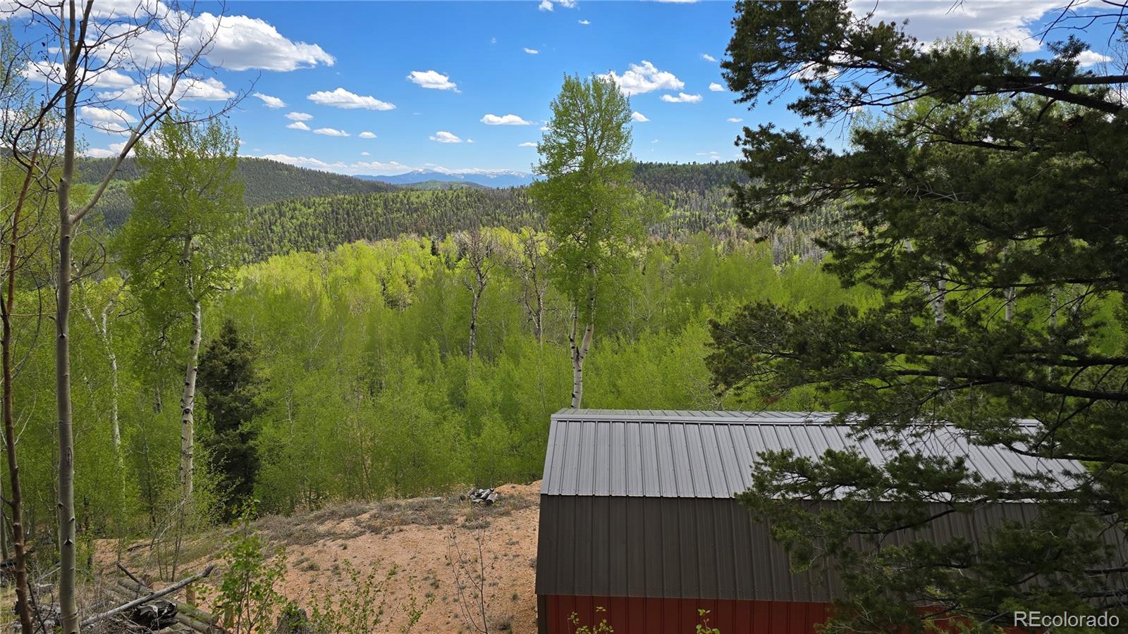 Lot 5897 Slegers Road Fort Garland CO 81133
