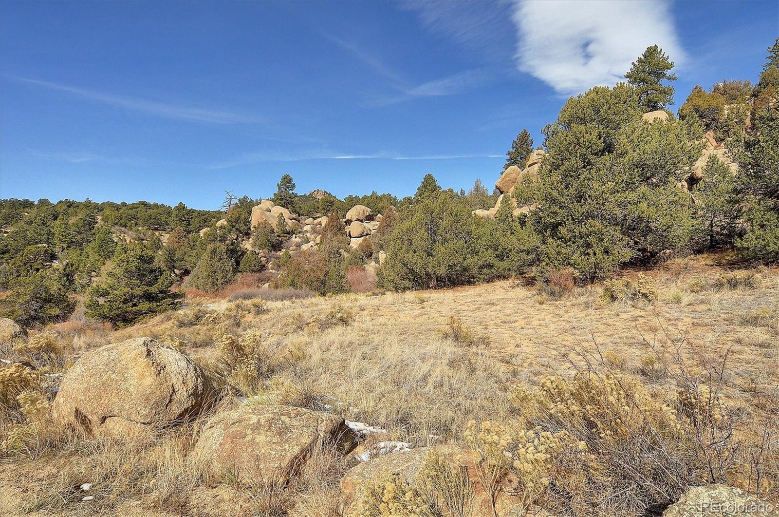 31950 Forest Service Road 376 Buena Vista CO 81211