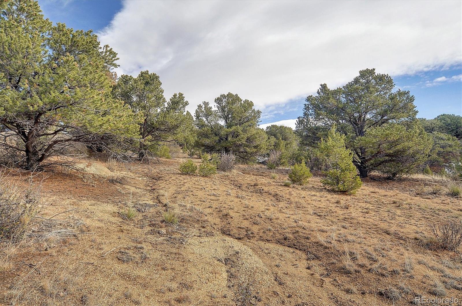 31950 Forest Service Road 376 Buena Vista CO 81211
