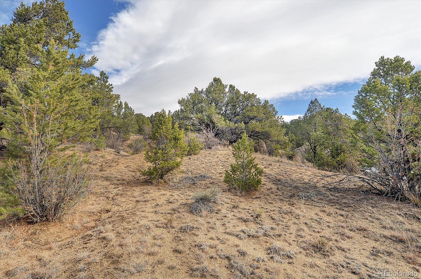 31950 Forest Service Road 376 Buena Vista CO 81211