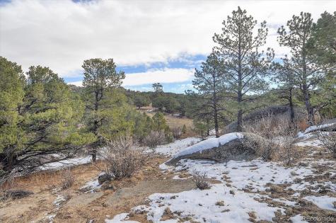 31950 Forest Service Road 376 Buena Vista CO 81211