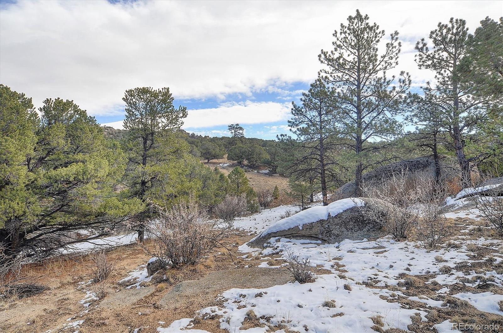 31950 Forest Service Road 376 Buena Vista CO 81211