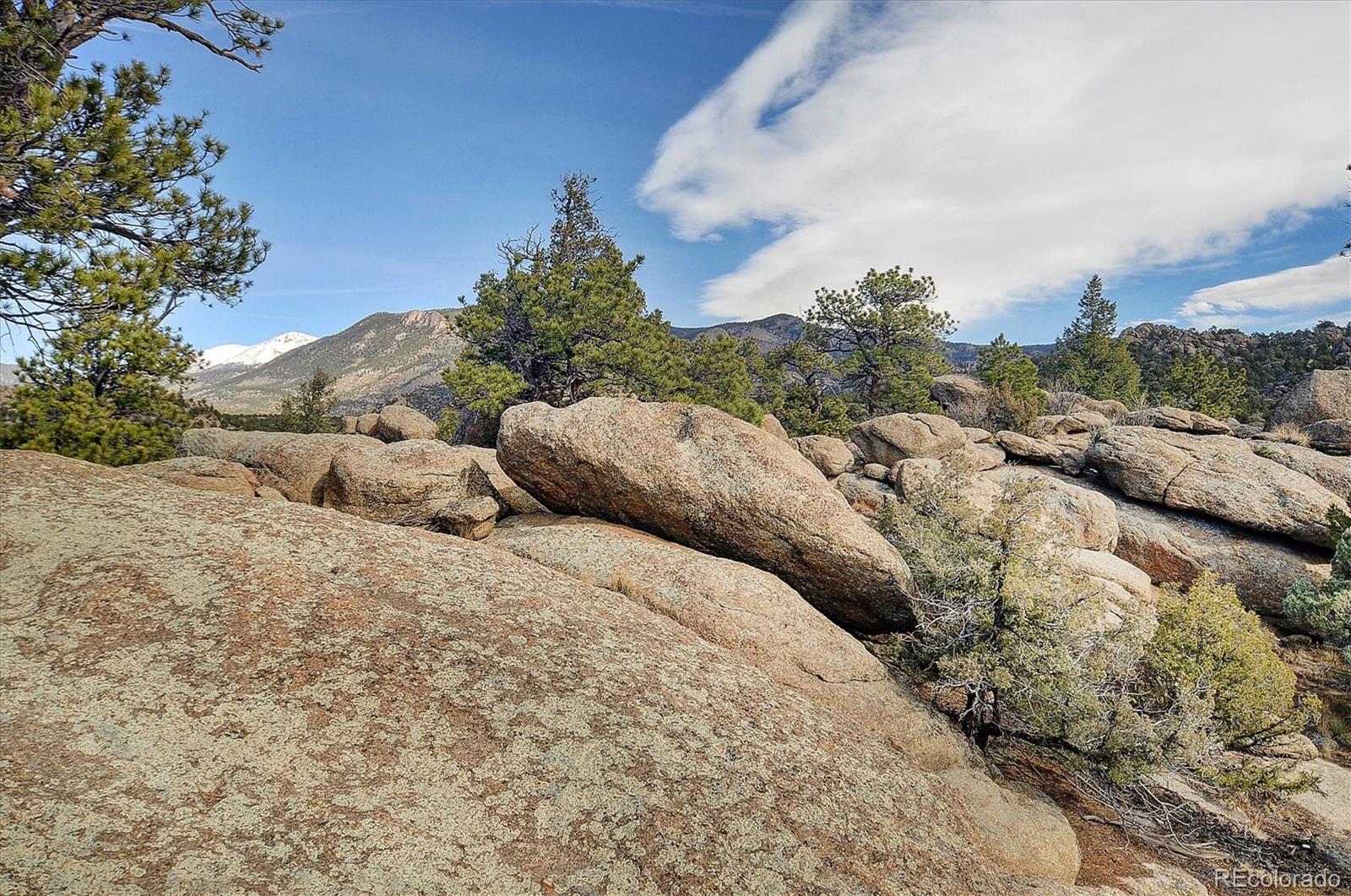 31950 Forest Service Road 376 Buena Vista CO 81211