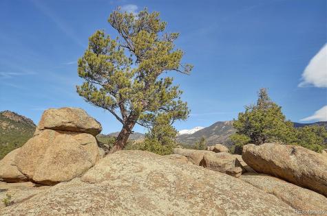 31950 Forest Service Road 376 Buena Vista CO 81211