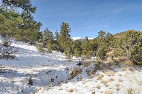 31950 Forest Service Road 376 Buena Vista CO 81211
