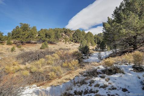 31950 Forest Service Road 376 Buena Vista CO 81211