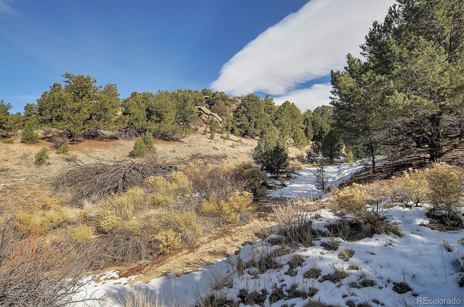 31950 Forest Service Road 376 Buena Vista CO 81211