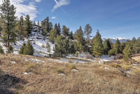 31950 Forest Service Road 376 Buena Vista CO 81211