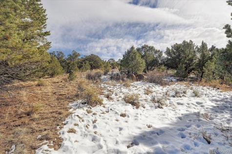 31950 Forest Service Road 376 Buena Vista CO 81211