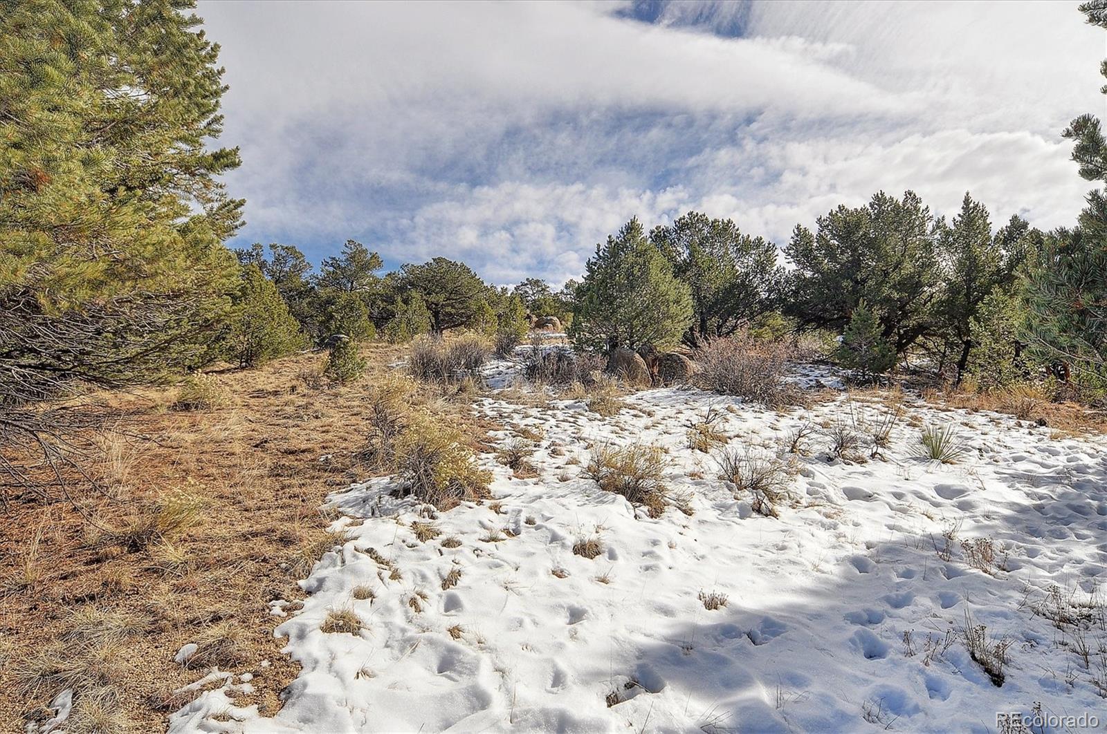 31950 Forest Service Road 376 Buena Vista CO 81211