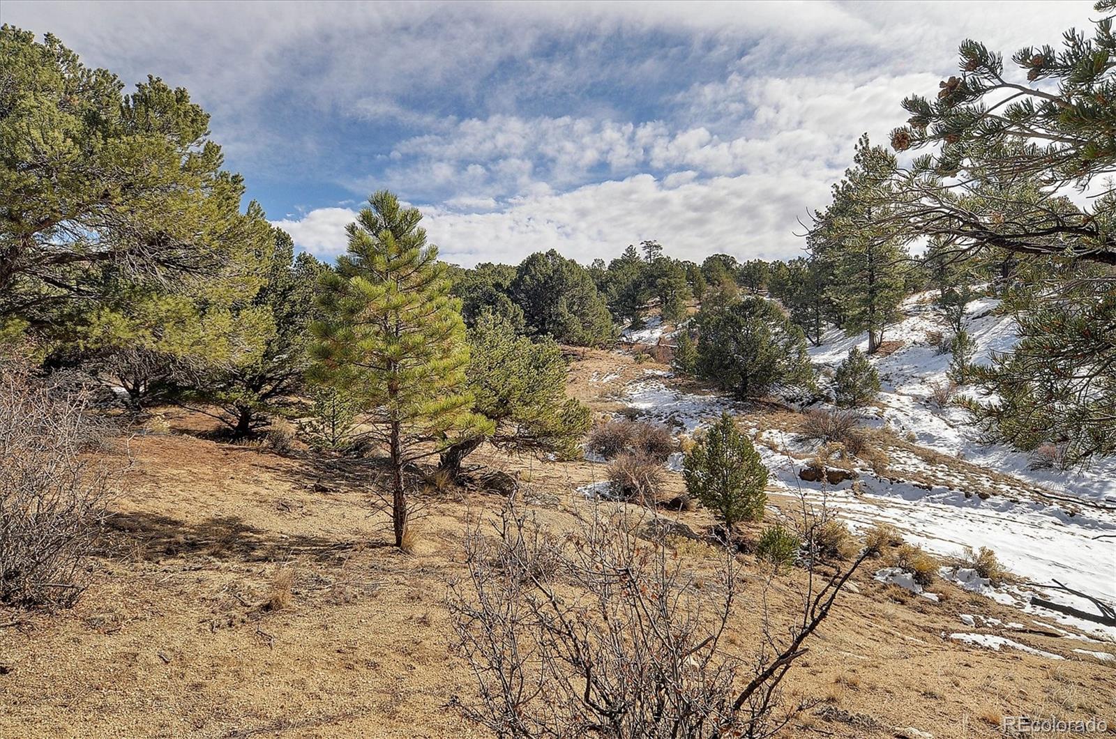 31950 Forest Service Road 376 Buena Vista CO 81211