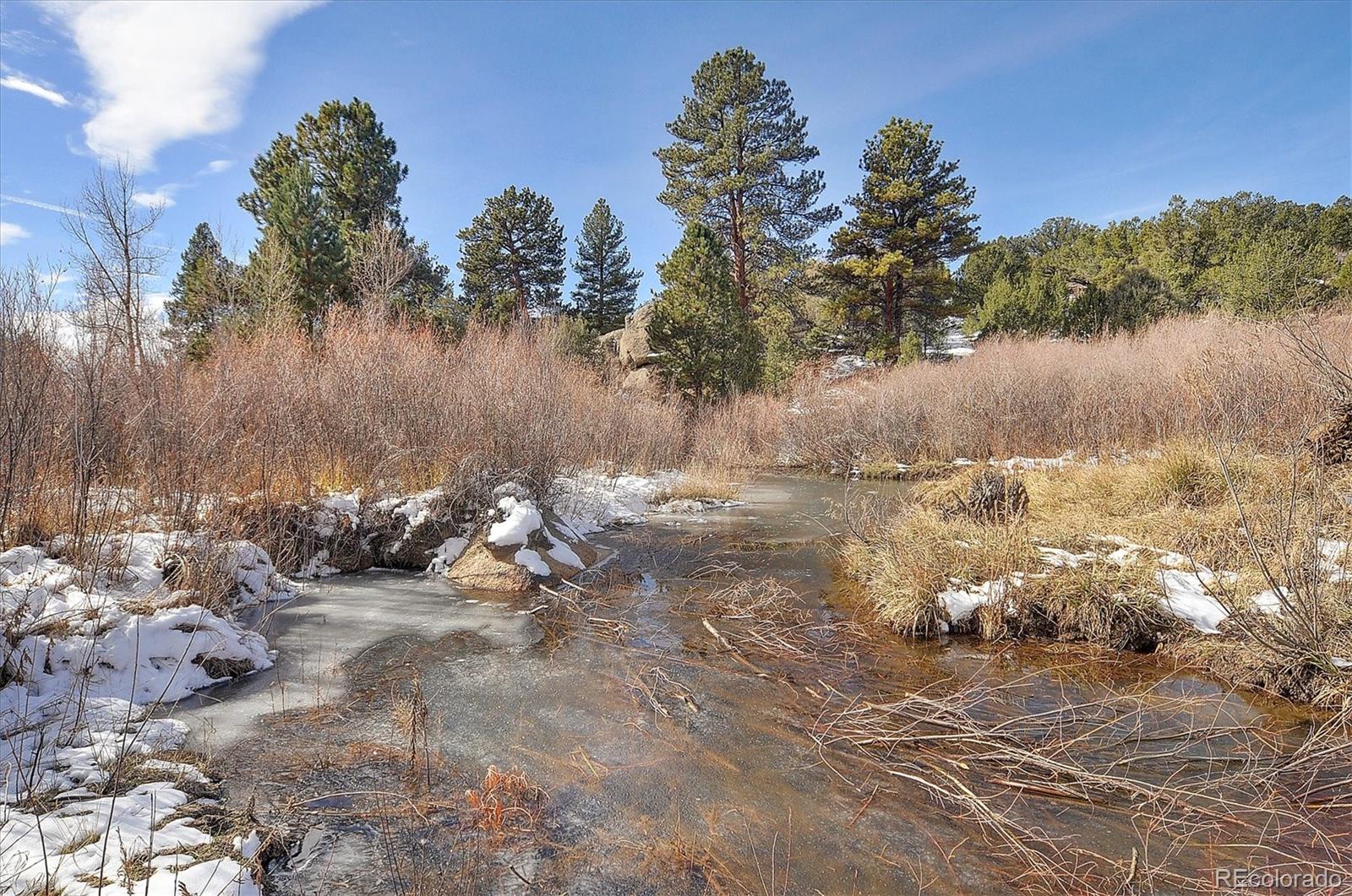 31950 Forest Service Road 376 Buena Vista CO 81211