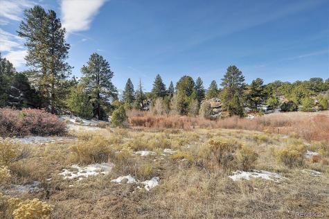 31950 Forest Service Road 376 Buena Vista CO 81211