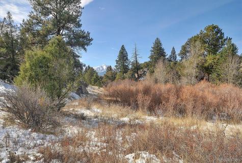 31950 Forest Service Road 376 Buena Vista CO 81211
