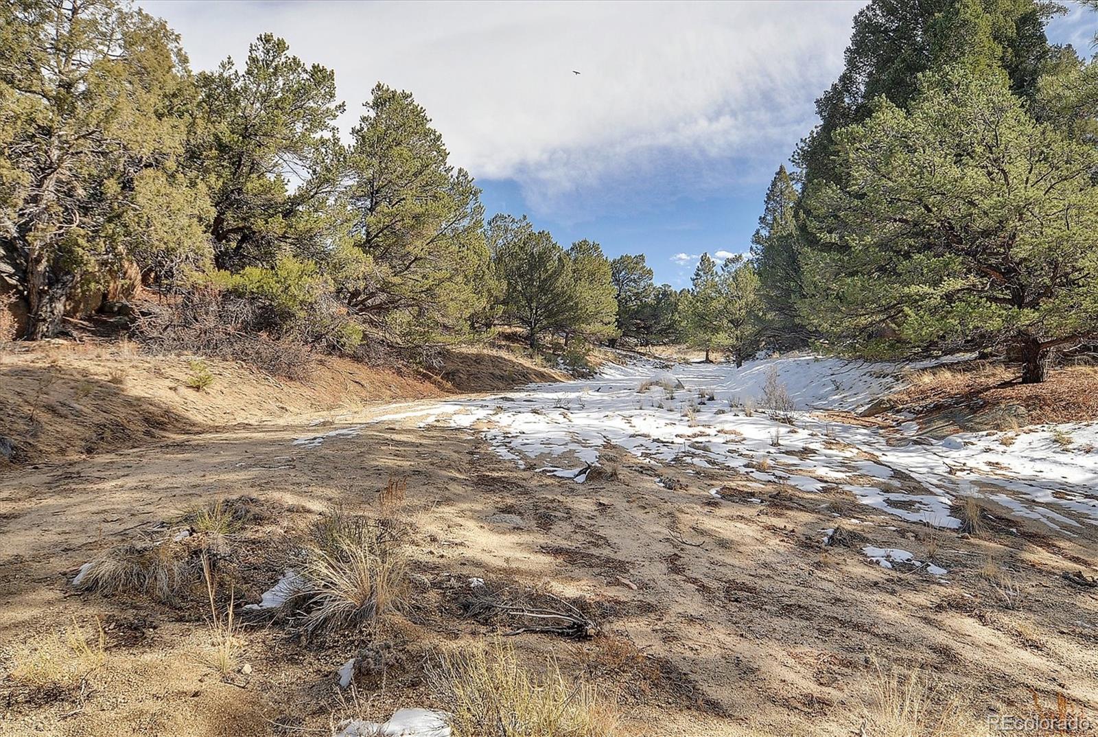 31950 Forest Service Road 376 Buena Vista CO 81211