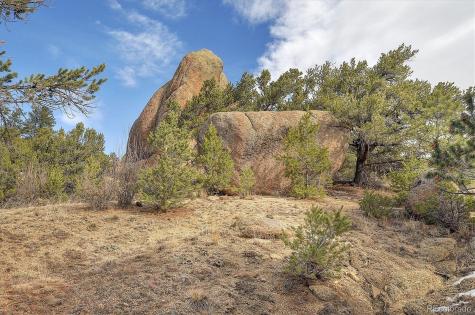 31950 Forest Service Road 376 Buena Vista CO 81211