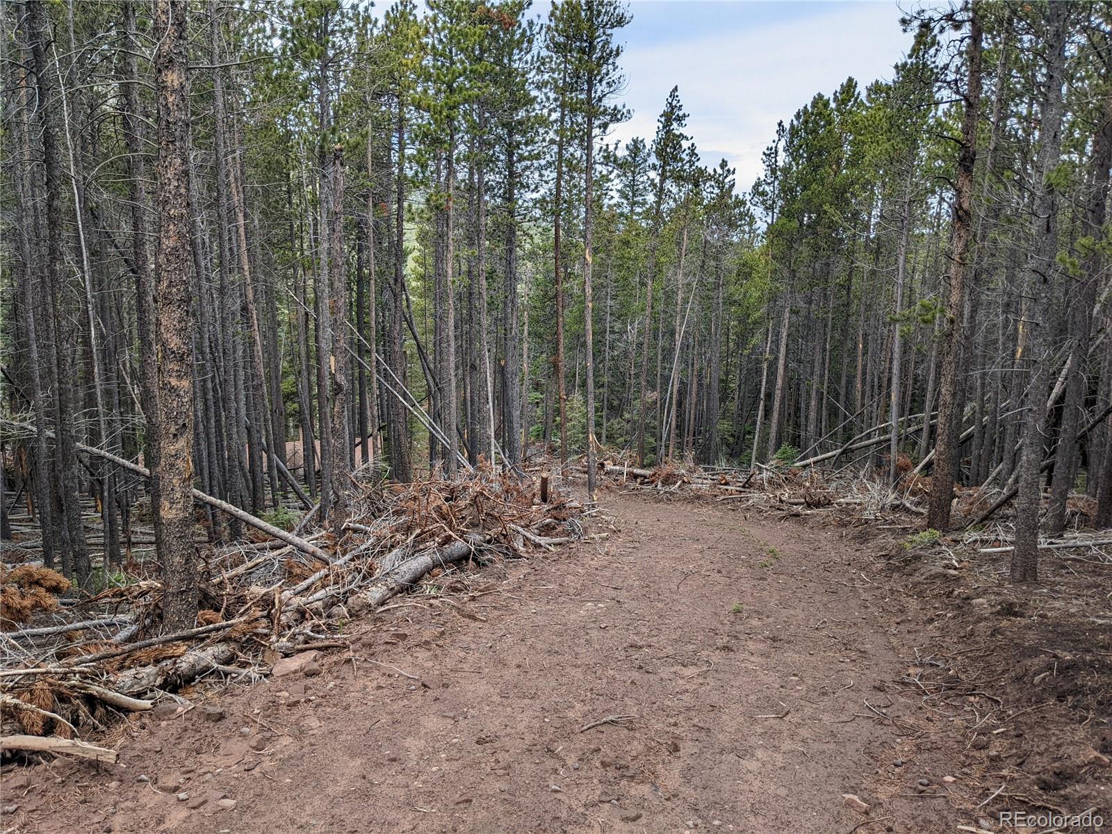 3331 Purnell Lane Fort Garland CO 81133
