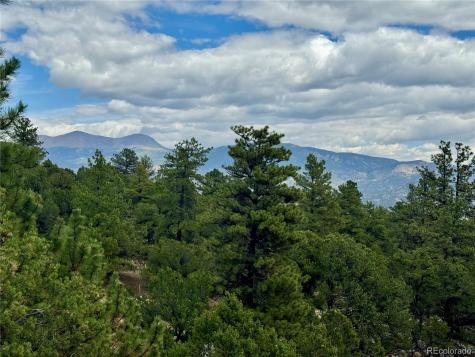 30110 Princeton Hills Buena Vista CO 81211