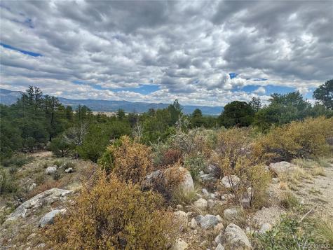 30110 Princeton Hills Buena Vista CO 81211