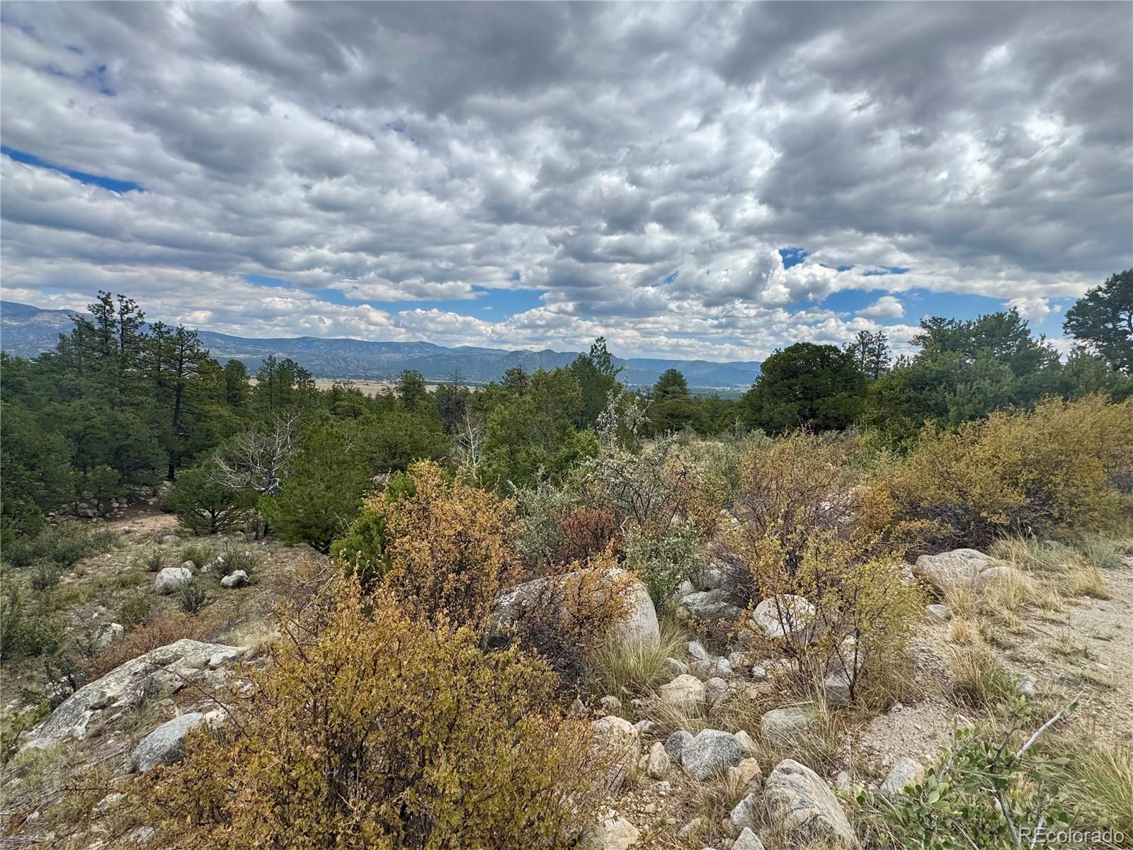 30110 Princeton Hills Buena Vista CO 81211