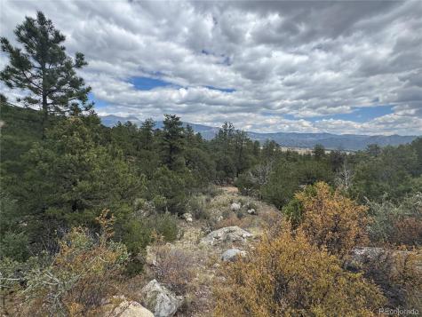 30110 Princeton Hills Buena Vista CO 81211