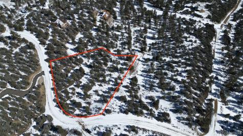 30110 Princeton Hills Buena Vista CO 81211