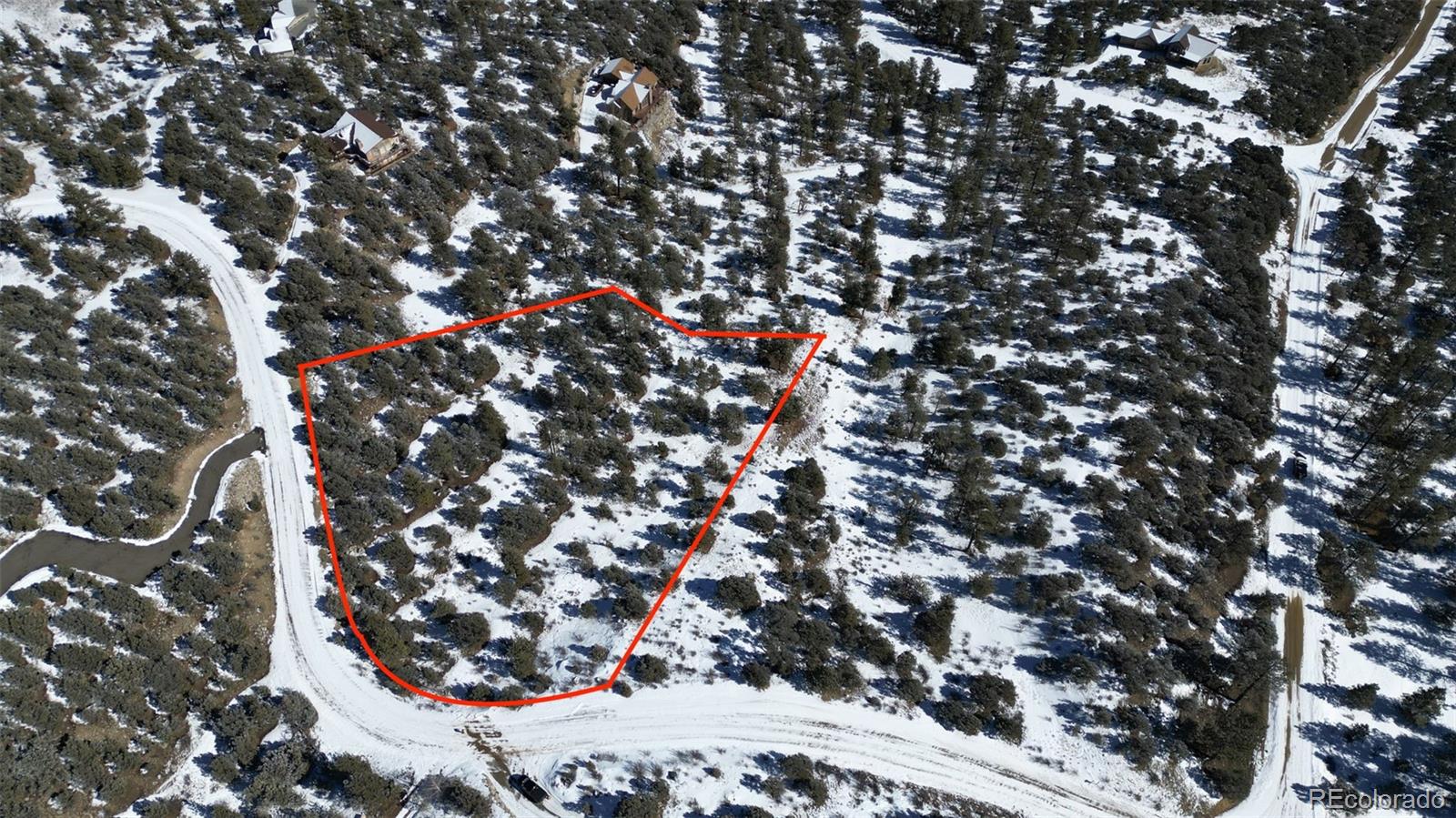 30110 Princeton Hills Buena Vista CO 81211