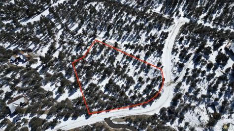 30110 Princeton Hills Buena Vista CO 81211