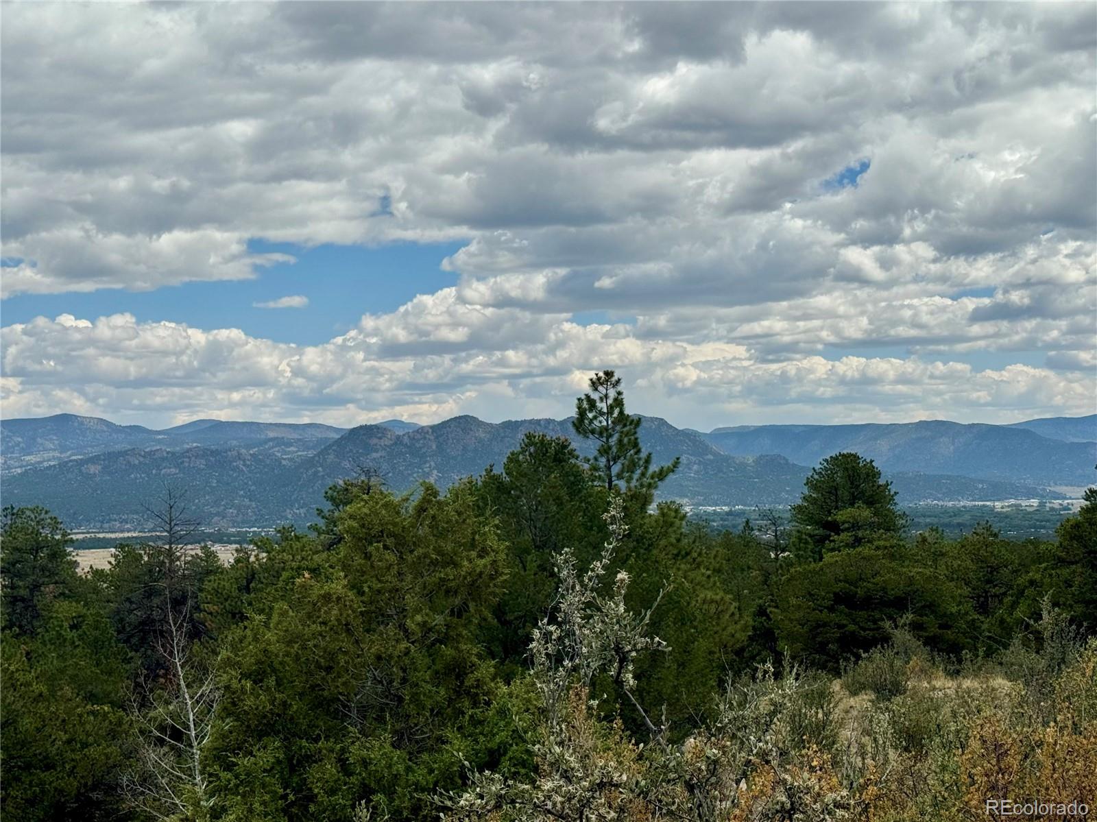 30110 Princeton Hills Buena Vista CO 81211