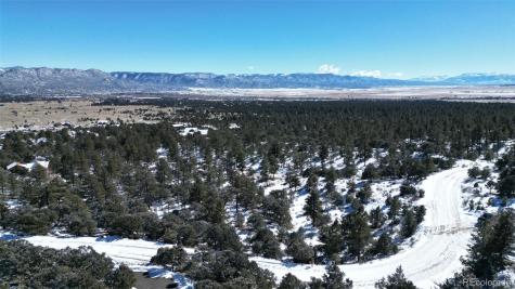 30110 Princeton Hills Buena Vista CO 81211